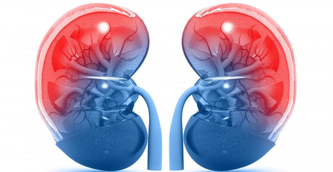 Eβδομάδα πρόληψης παθήσεων νεφρών