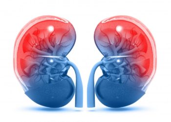 Eβδομάδα πρόληψης παθήσεων νεφρών