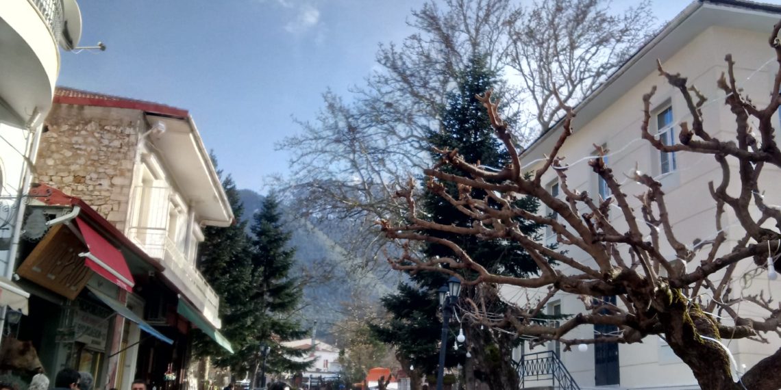 Κοπή πίτας τμήματος αθλητισμού