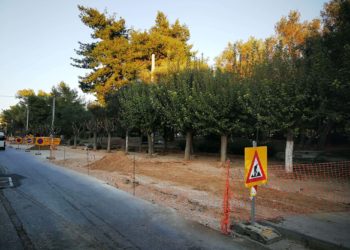 Ξεκίνησε η ανάπλαση των περιφερειακών οδών  του Άλσους