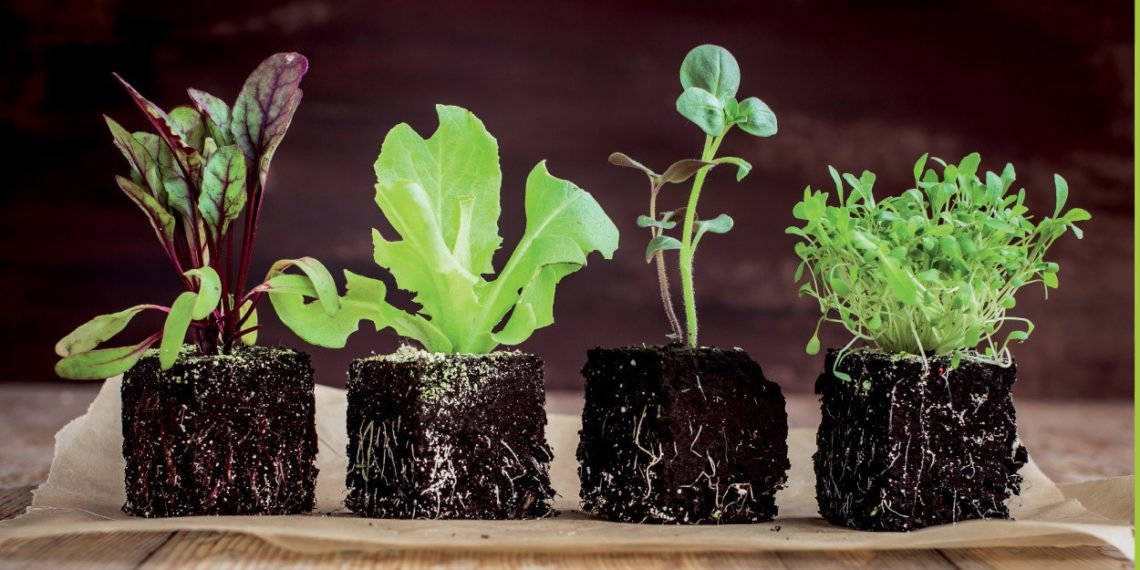 Δήλωση ενδιαφέροντος για οικιακό κάδο κομποστοποίησης