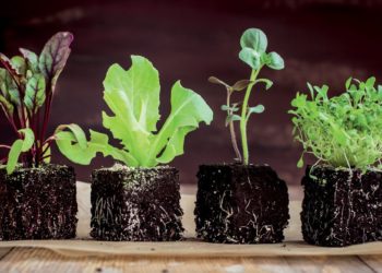 Δήλωση ενδιαφέροντος για οικιακό κάδο κομποστοποίησης