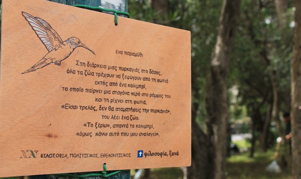 Πρωτοβουλία καθαρισμού του Άλσους από την ομάδα «Φιλοσοφία ξανά»