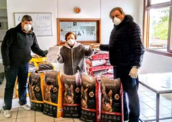 Πρωτοβουλίες για τα αδέσποτα ζώα στην πόλη