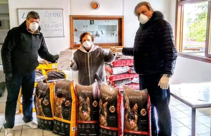 Πρωτοβουλίες για τα αδέσποτα ζώα στην πόλη