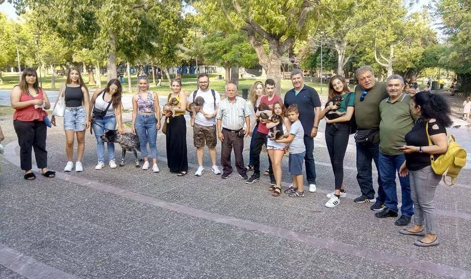 Αδέσποτα ζώα βρίσκουν τη νέα τους οικογένεια