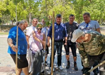Δενδροφύτευση πλατανιών στην είσοδο του Άλσους μας.
