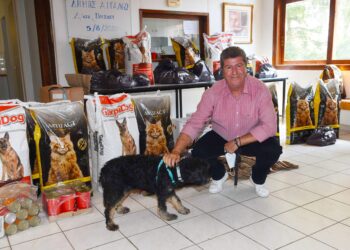 Συνεχίζονται οι πρωτοβουλίες για τα αδέσποτα ζώα