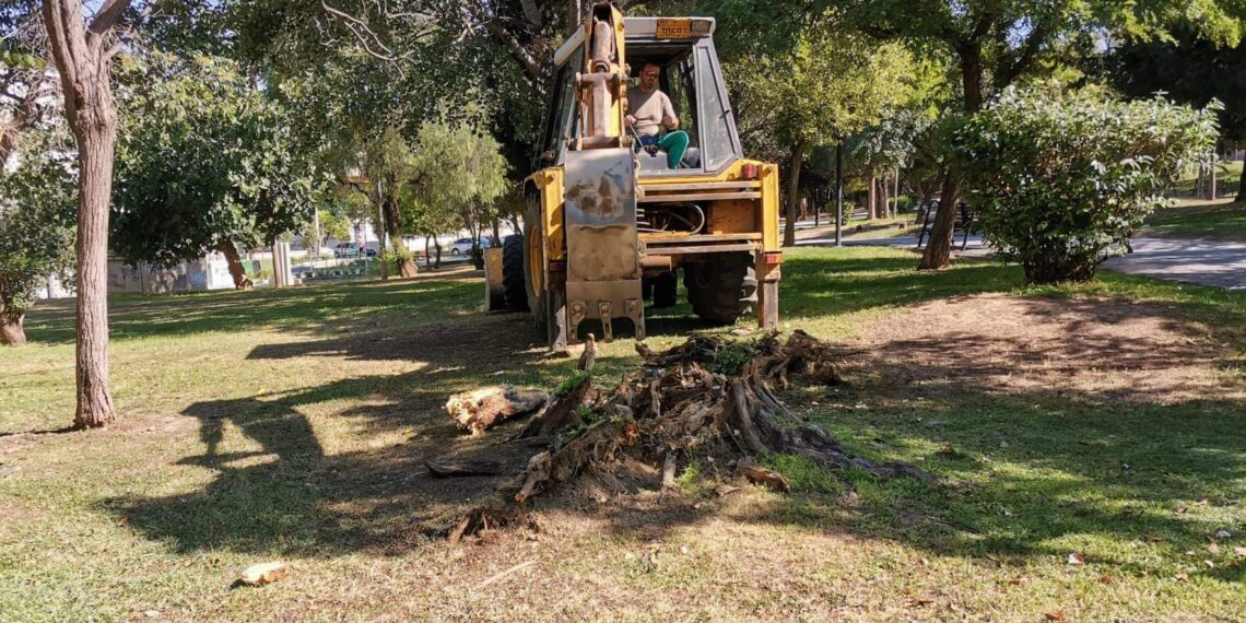 Φροντίζουμε το πράσινο της πόλης μας