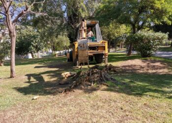 Φροντίζουμε το πράσινο της πόλης μας