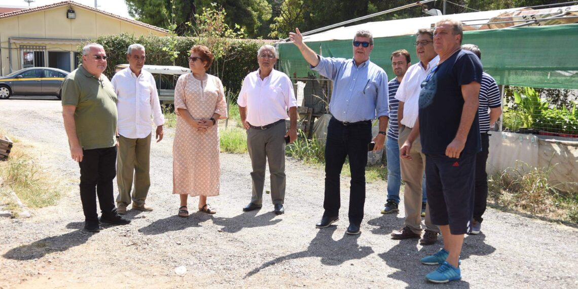 Φύτευση αμπελώνα στο Αιγάλεω