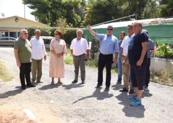 Φύτευση αμπελώνα στο Αιγάλεω