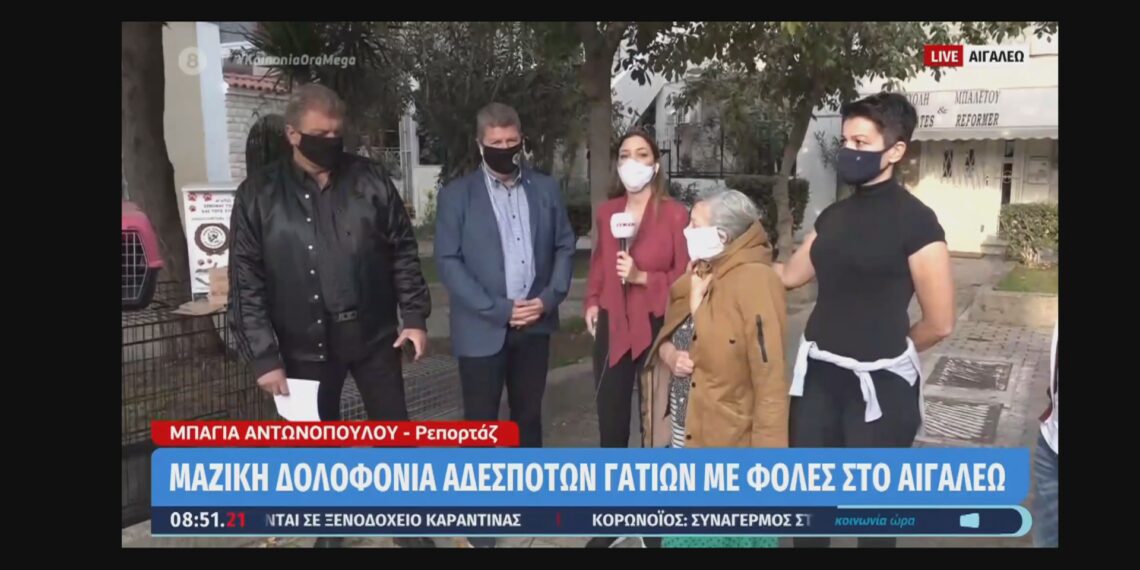 Τηλεοπτική δήλωση Δημάρχου Γιάννη Γκίκα για τον θάνατο αδέσποτων ζώων