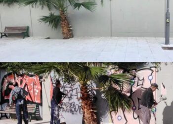 Αναβάθμιση της περιβαλλοντικής αισθητικής στην πόλη