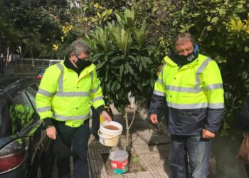 Μέτρα Προστασίας για τα αδέσποτα ζώα του δήμου Αιγάλεω