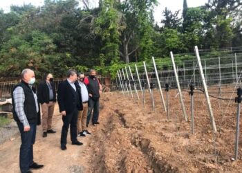 O Δήμος Αιγάλεω και το Πανεπιστήμιο Δυτικής Αττικής δημιουργούν έναν αμπελώνα στην πόλη