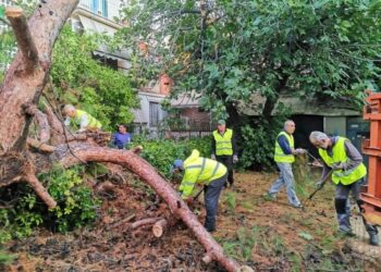 Παραμένει σε εγρήγορση ο Δήμος Αιγάλεω