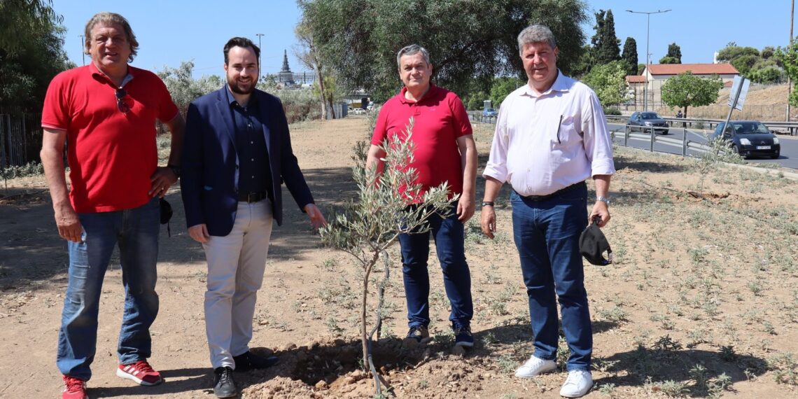 Ένας νέος ελαιώνας στην είσοδο του Αιγάλεω