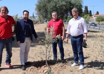 Ένας νέος ελαιώνας στην είσοδο του Αιγάλεω