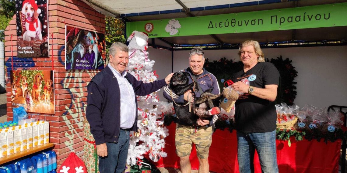 Καμπάνια ενημέρωσης και ευαισθητοποίησης για τα αδέσποτα ζώα