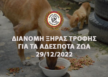 Διανομή Ξηράς Τροφής για τα Αδέσποτα Ζώα την Πέμπτη 29/12
