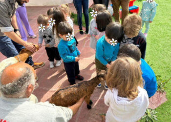 Βιωματικό πρόγραμμα «Γινόμαστε κτηνοτρόφοι» στον 11ο Βρεφονηπιακό Σταθμό