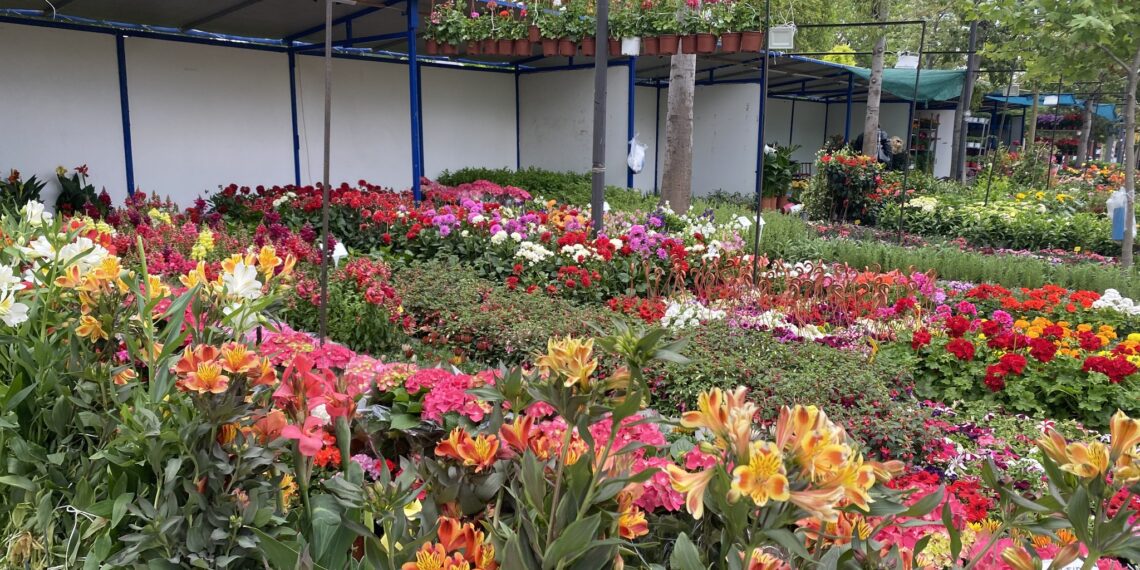 Κορυφώθηκαν οι εκδηλώσεις της 19ης Ανθοκομικής Έκθεσης