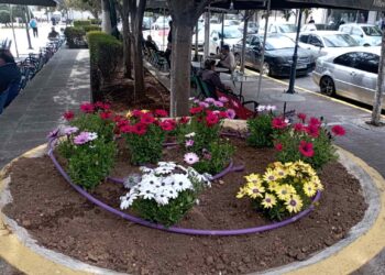 Η προσφορά «ανθίζει» στον Δήμο Αιγάλεω