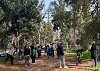 Ολοκληρώθηκε με επιτυχία το Πρόγραμμα Urban Youth Gardens στον Δήμο Αιγάλεω