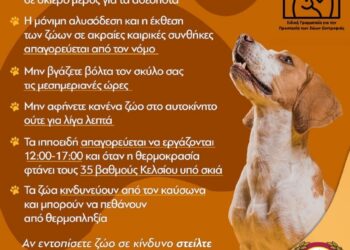 Οδηγίες για τα Αδέσποτα & Δεσποζόμενα Ζώα κατά τις Ημέρες του Καύσωνα