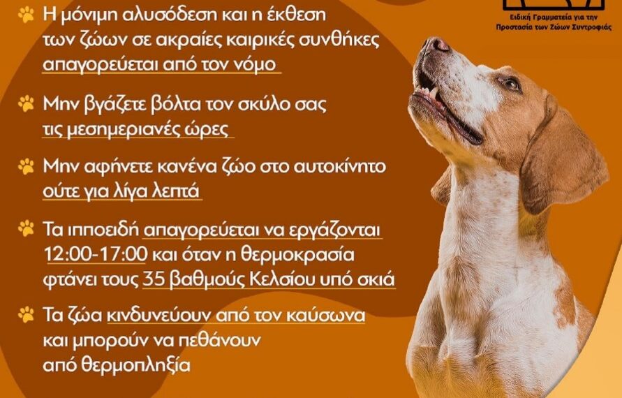 Οδηγίες για τα Αδέσποτα & Δεσποζόμενα Ζώα κατά τις Ημέρες του Καύσωνα