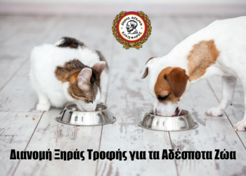 Διανομή Ξηράς Τροφής για τα Αδέσποτα Ζώα από τον Δήμο Αιγάλεω