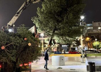 Το Χριστουγεννιάτικο Δέντρο στολίζει την Πλατεία Ελευθερίου Βενιζέλου!