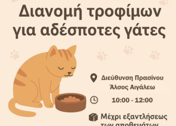 Παγκόσμια Ημέρα Ζώων – Ο Δήμος Αιγάλεω στηρίζει τις αδέσποτες γάτες 🐾