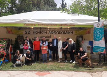 «Μια αγκαλιά αρκεί… για μια ζωή μαζί!» – Με συμμετοχή πολιτών και μήνυμα αγάπης ολοκληρώθηκε η Ημέρα Υιοθεσίας Αδέσποτων Ζώων στο Αιγάλεω