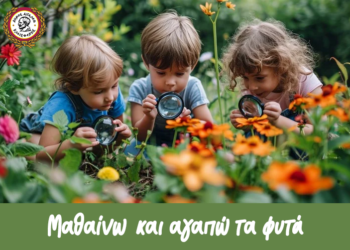 «Μαθαίνω και αγαπώ τα φυτά» – Βιωματικό εργαστήρι γνωριμίας με τον κόσμο των φυτών και το αστικό πράσινο, μέσα από παιχνίδι και δημιουργική εξερεύνηση