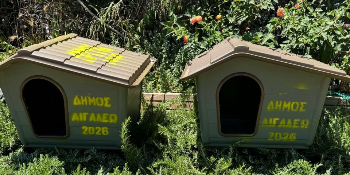 Ο Δήμος Αιγάλεω προχωρά στην τοποθέτηση 45 νέων σπιτιών για αδέσποτες γάτες