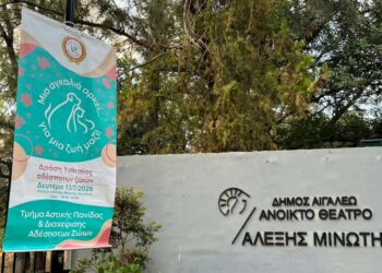 «Μια αγκαλιά αρκεί… για μια ζωή μαζί!» – Με μεγάλη ανταπόκριση η δράση υιοθεσίας αδέσποτων ζώων στο πλαίσιο της Πολιτιστικής Διαδρομής 2026