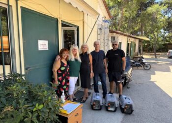 Σε εξέλιξη το πρόγραμμα στειρώσεων και περίθαλψης αδέσποτων γατών του Δήμου Αιγάλεω