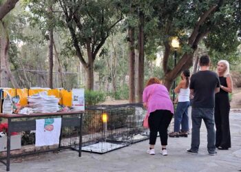 «Μια αγκαλιά αρκεί… για μια ζωή μαζί!» – Τρία γατάκια βρήκαν οικογένεια και ένα ακόμη βρήκε προσωρινή φροντίδα στη δράση υιοθεσίας του Δήμου Αιγάλεω