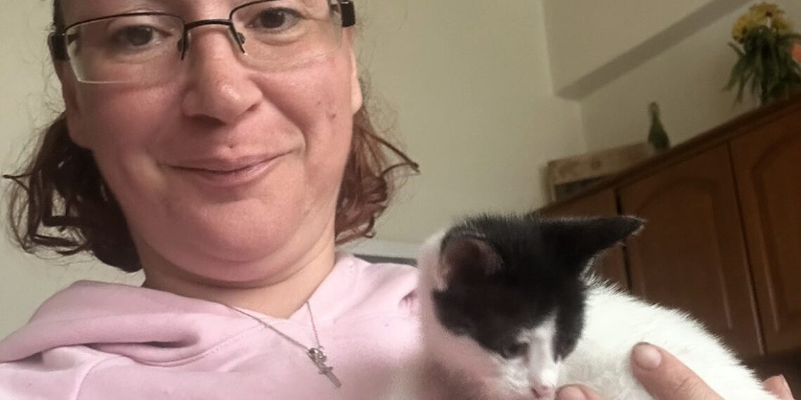 🐱 Και τα άλλα δύο γατάκια βρήκαν το παντοτινό τους σπίτι!