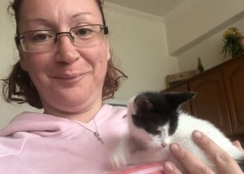 🐱 Και τα άλλα δύο γατάκια βρήκαν το παντοτινό τους σπίτι!