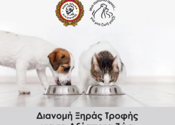 Ο Δήμος Αιγάλεω προσφέρει τροφή για τα αδέσποτα ζώα της πόλης